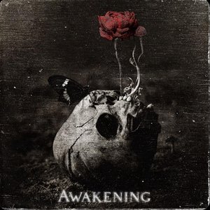Image for 'Awakening'