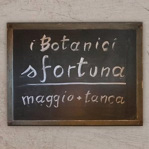 Image for 'Sfortuna (feat. maggio & Tanca)'