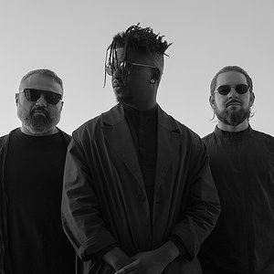Bild für 'Animals as Leaders'