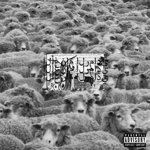 “Grey Sheep II”的封面