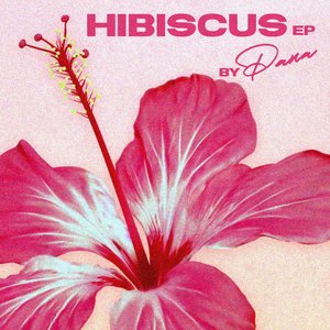 Image for 'Hibiscus'