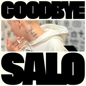 Image for 'GOODBYE SALÒ THE REMIXES'