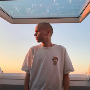 “Martijn”的封面
