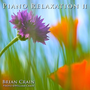 Image for 'Piano Relaxation Music: Volume 2'