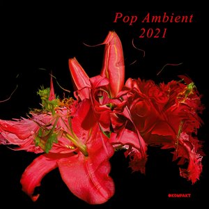 “Pop Ambient 2021”的封面