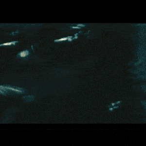 Image for 'CASH COW'