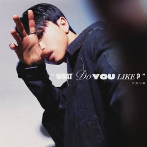 “[WDYL (What Do You Like?)]”的封面