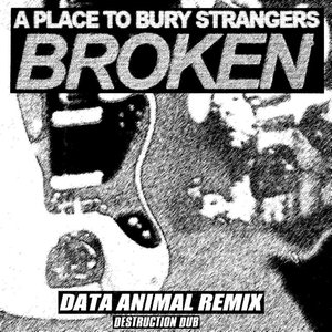 Image pour 'Broken (Data Animal Destruction Derby Remix)'