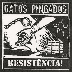 Image for 'Gatos Pingados'