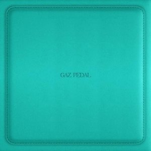 “GAZ PEDAL”的封面