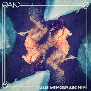 Bild für 'False Memory Archive'