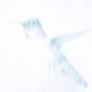 “White Pony”的封面