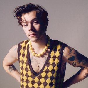 Bild für 'Harry Styles'