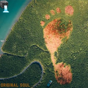 'Original Soul' için resim