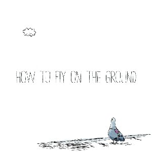 “How To Fly On The Ground”的封面