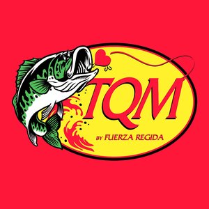 Image for 'TQM'