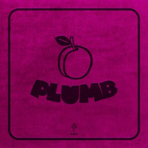 Image for 'Plumb'
