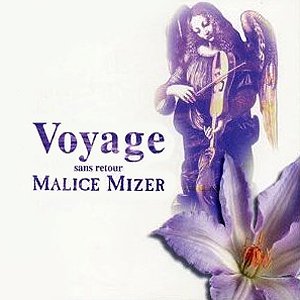 Image for 'Voyage'