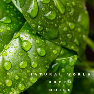 Immagine per 'Natural World Green Noise'