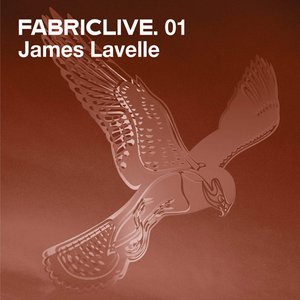 Imagem de 'Fabriclive.01 - James Lavelle'