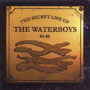 Image for 'The Secret Life of The Waterboys (1981-1985)'