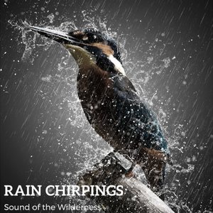 Image for 'Rain Chirpings'