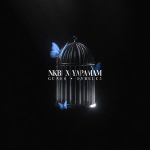 “NKBİ X YAPAMAM (Remix)”的封面