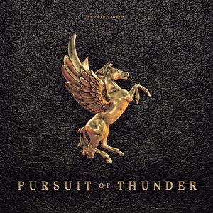 Image for 'Pursuit of Thunder'