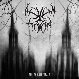 “Fallen Cathedrals”的封面