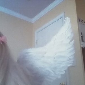 Image for 'wings for myself'