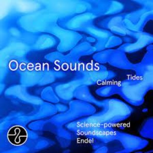 Image for 'Ocean Sounds: Calming Tides'