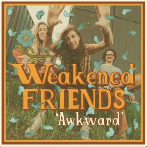 “Awkward”的封面