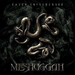 Immagine per 'Catch Thirty Three'