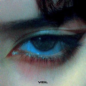 Image for 'veil'