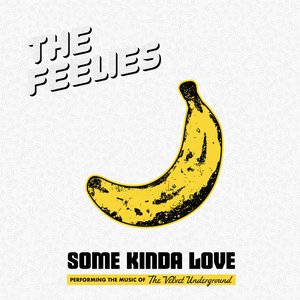 “Some Kinda Love: Performing The Music Of The Velvet Underground”的封面