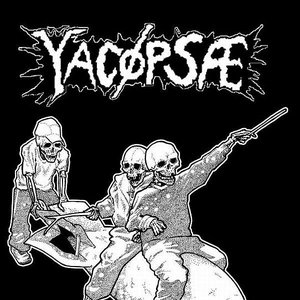 'Yacopsae'の画像