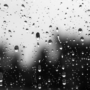 “Barulho de Chuva”的封面