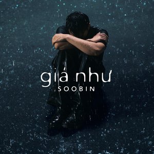 Изображение для 'giá như'