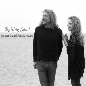 “Raising Sand”的封面