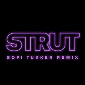 Image for 'Strut (Sofi Tukker Remix)'