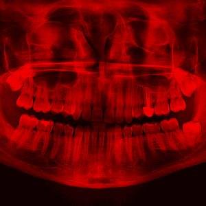 Image for 'Interregnum'