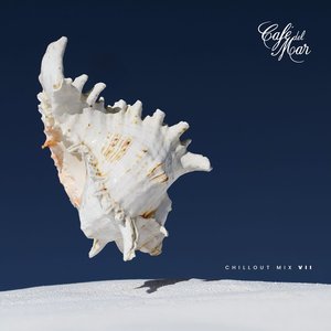 Bild för 'Café del Mar Ibiza Chillout Mix VII (DJ Mix)'