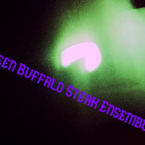 Image for 'Green Buffalo Steak Ensemble'