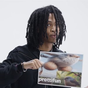 Immagine per 'prettifun'