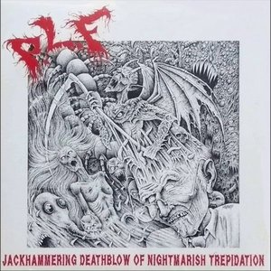 Bild für 'Jackhammering Deathblow of Nightmarish Trepidation'