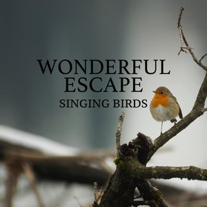 “Singing Birds”的封面