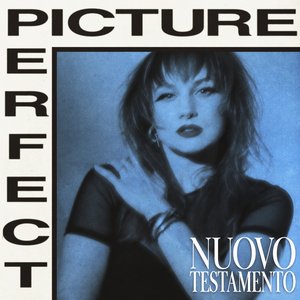 “Picture Perfect”的封面