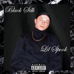 Image for 'Black Silk'