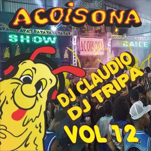 Image for 'Acoisona, Vol. 12'