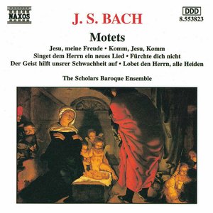 Image for 'Bach: Motets, BWV 225-230'